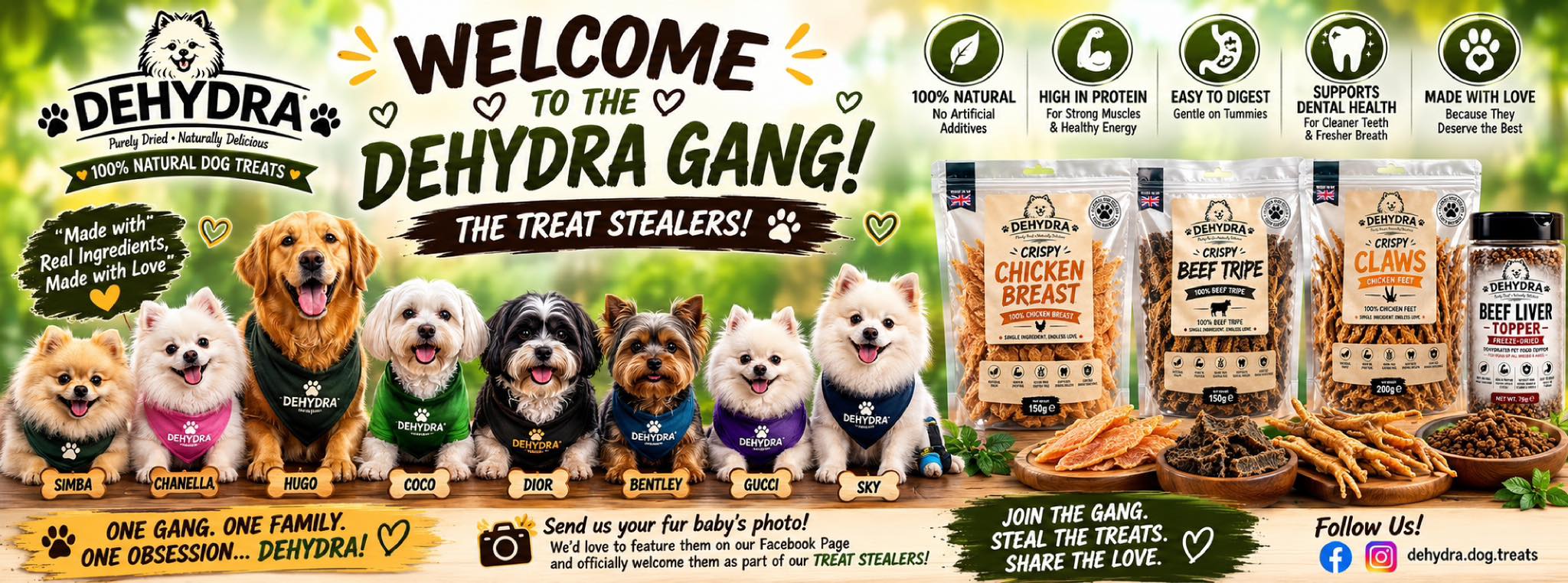 Welcome to the DEHYDRA Gang, featuring DEHYDRA treats and the Gang